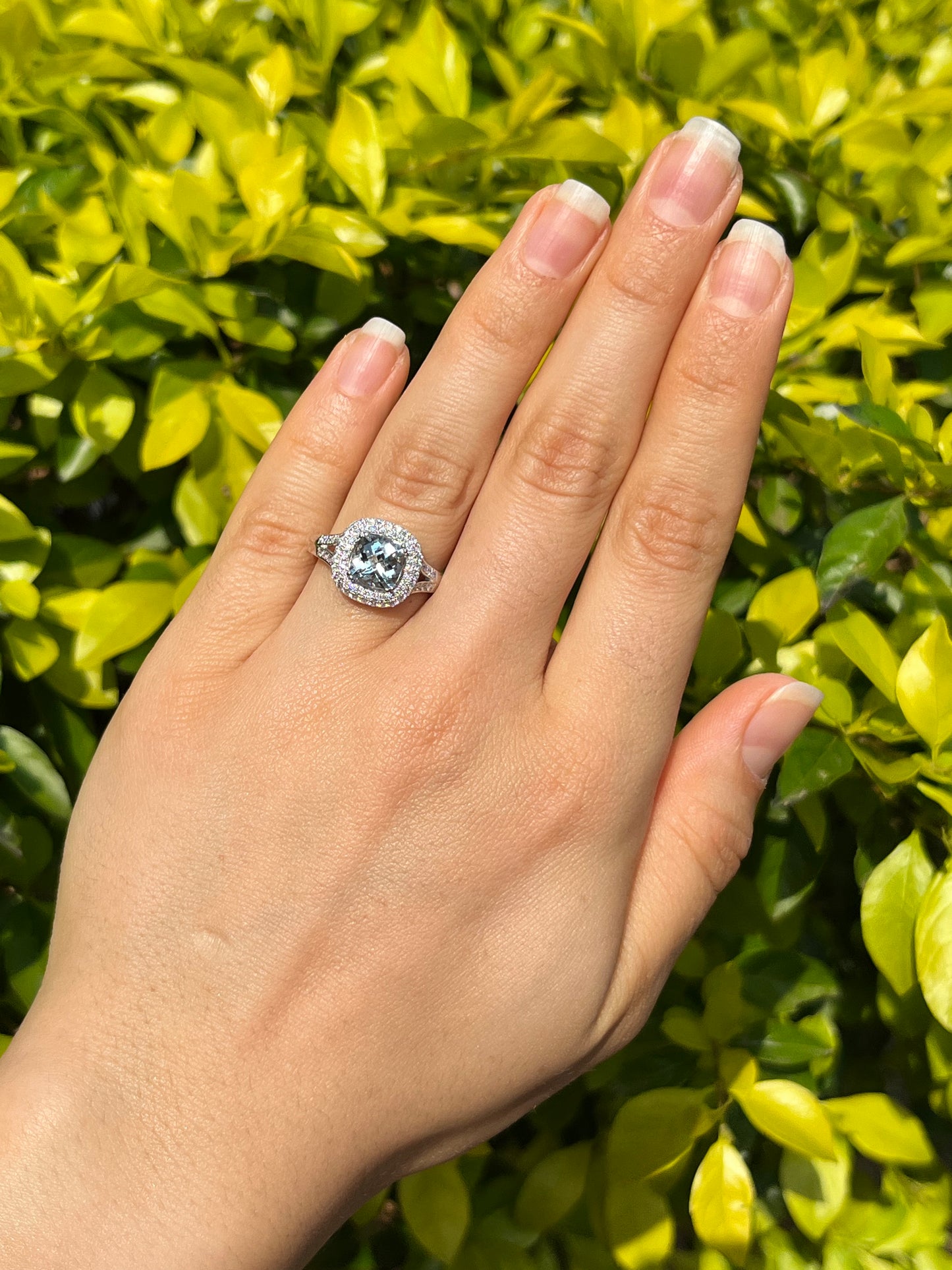 14K gold aquamarine and diamond double halo ring by Browns.