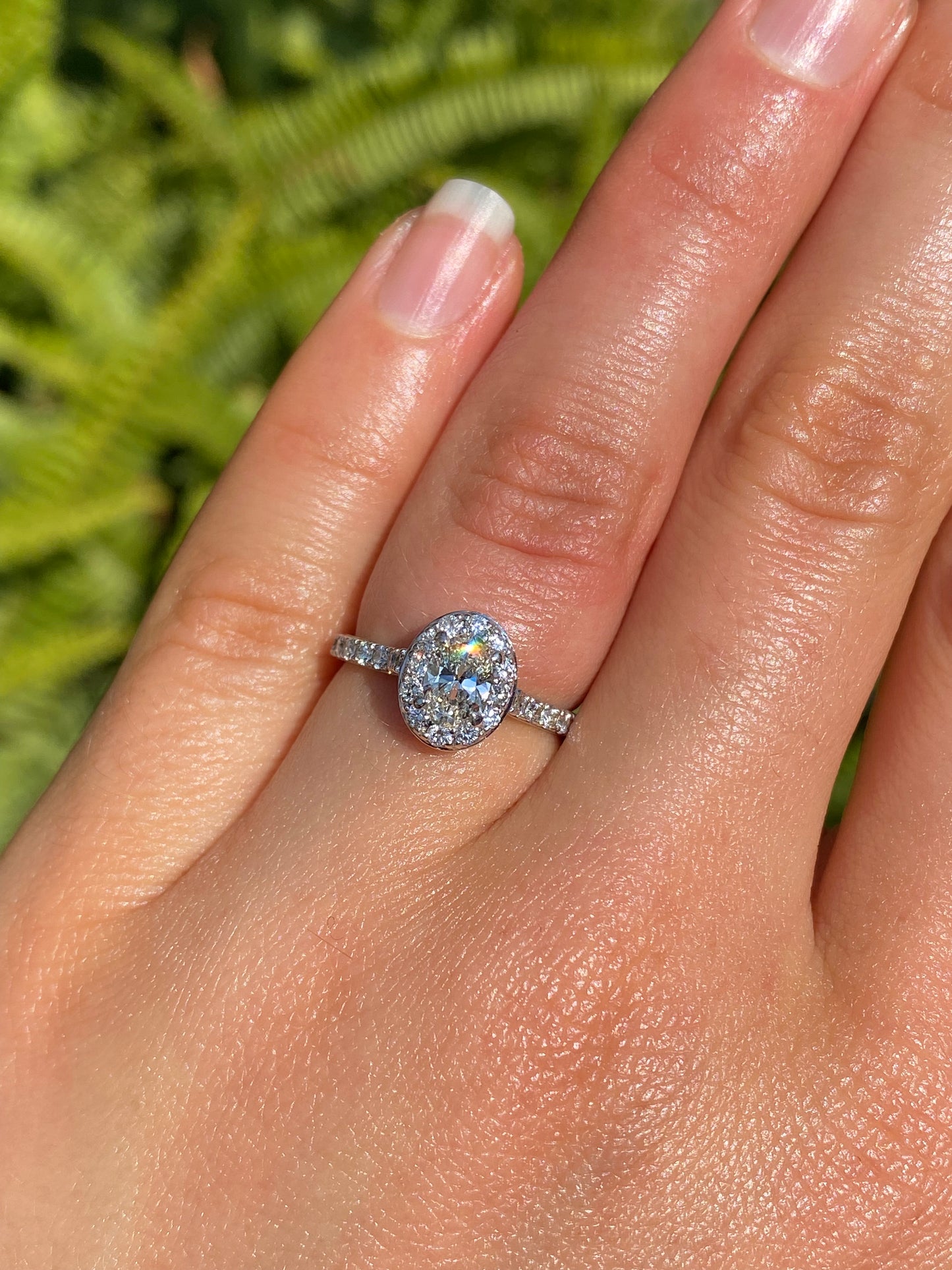 Platinum and 18K gold Angel Halo diamond ring by Browns.