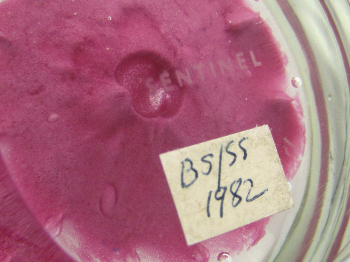 Caithness Sentinel Pink Art Glass paperweight, Circa 1982.