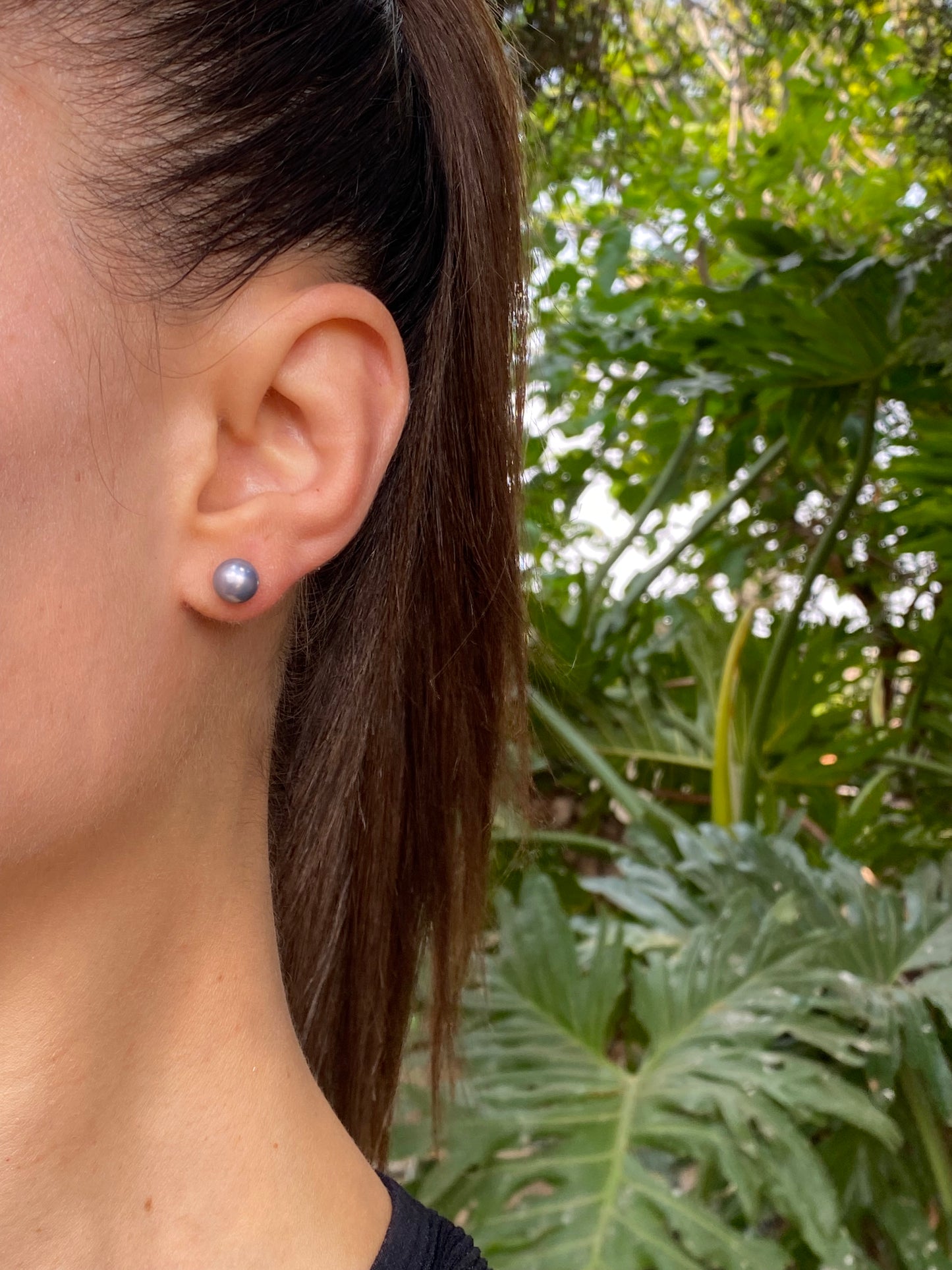 9K gold Akoya pearl stud earrings.