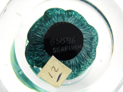 Caithness Seafoam Art Glass paperweight.