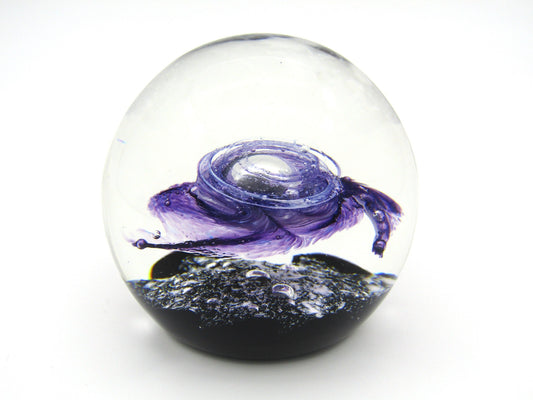 Limited Edition Selkirk Starburst paperweight, 1984.
