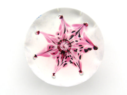Selkirk Art Glass paperweight, Firecracker, 1997.