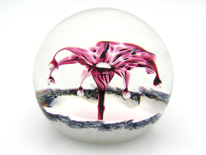 Selkirk Art Glass paperweight, Firecracker, 1997.