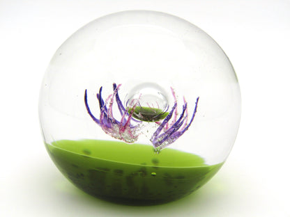 Caithness 'Antennae' Art Glass paperweight. Circa 1990's.