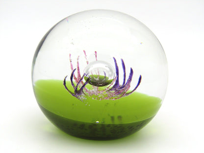 Caithness 'Antennae' Art Glass paperweight. Circa 1990's.