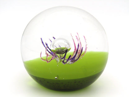 Caithness 'Antennae' Art Glass paperweight. Circa 1990's.